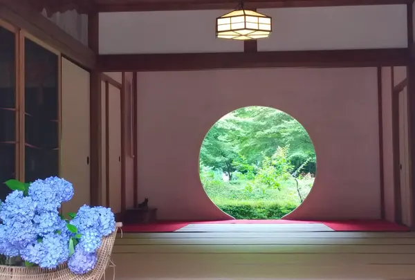 明月院（あじさい寺）の写真・動画_image_614361