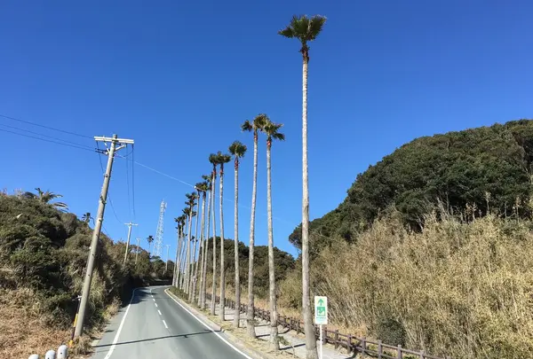 ロングビーチ入り口