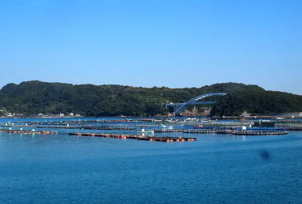 窓からの景色