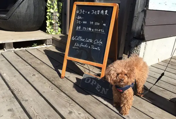 こだわりの