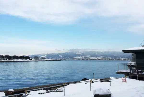 赤レンガ倉庫の裏