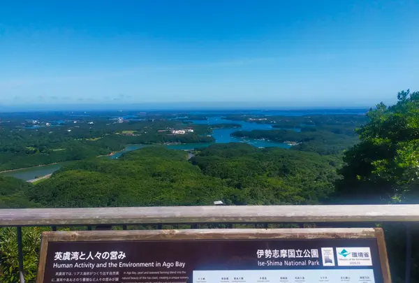 横山展望台の写真・動画_image_625299