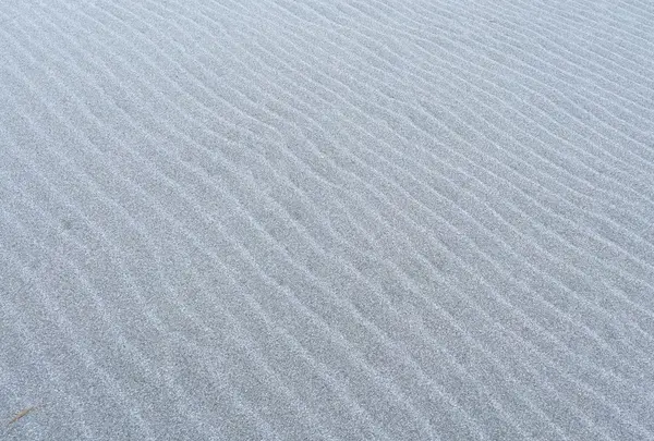 風紋