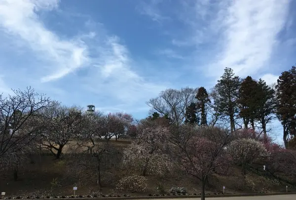 梅園