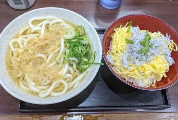 しらすとうどんの定食