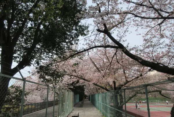 神戸博覧会