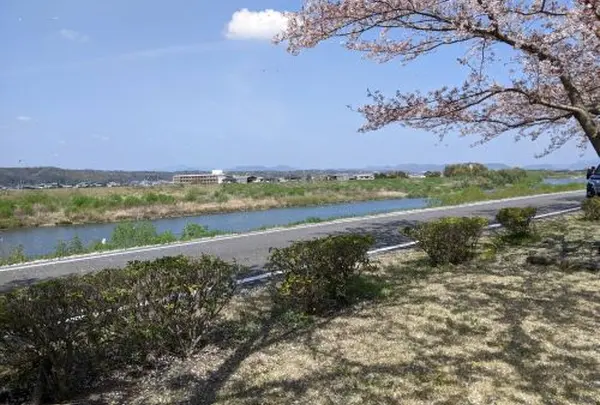 おの桜づつみ回廊の写真・動画_image_631156