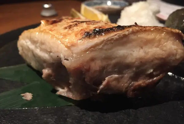 熊本居酒屋 新市街の写真・動画_image_63689