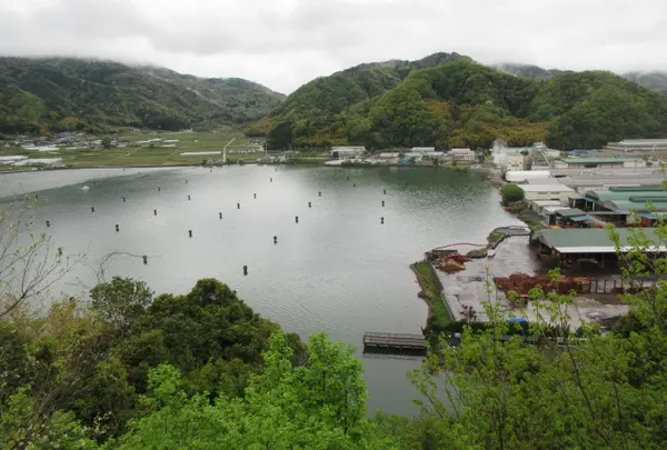 展望広場