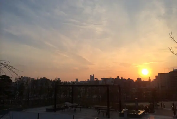 目黒天空庭園の写真・動画_image_6405