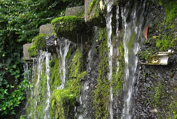 テーマは水