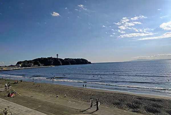 新江ノ島水族館の写真・動画_image_646655