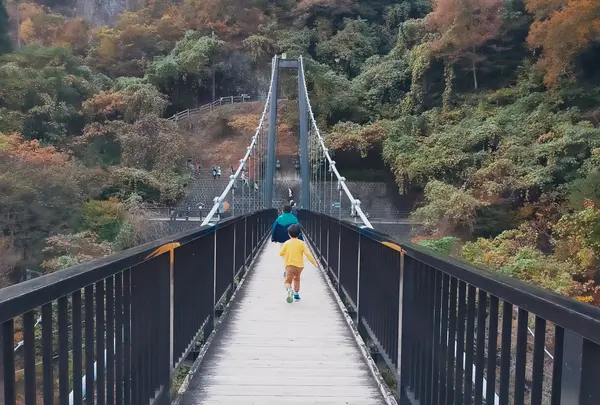 鬼怒楯岩大吊橋の写真・動画_image_650060