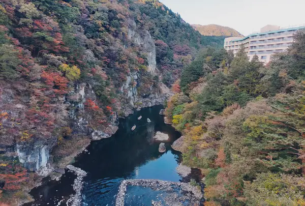 鬼怒楯岩大吊橋の写真・動画_image_650061