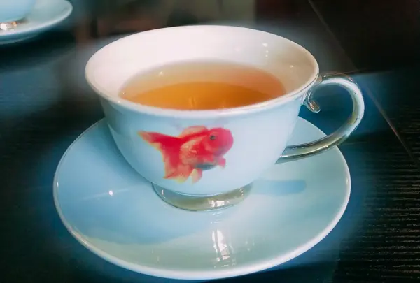 propaganda(プロパガンダ)の写真・動画_image_651578