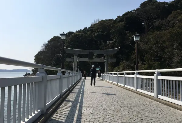 竹島の写真・動画_image_65303
