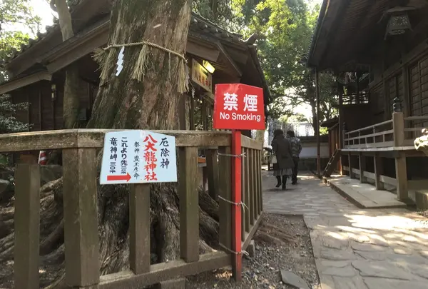 竹島の写真・動画_image_65312