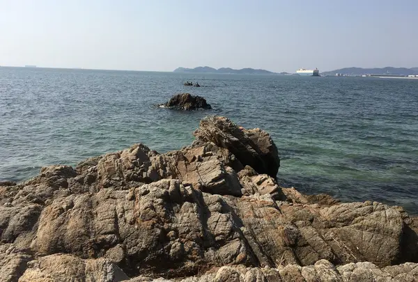 竹島の写真・動画_image_65316