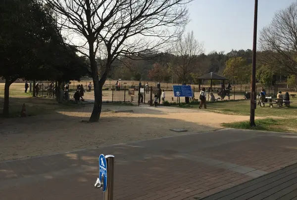 ドッグラン