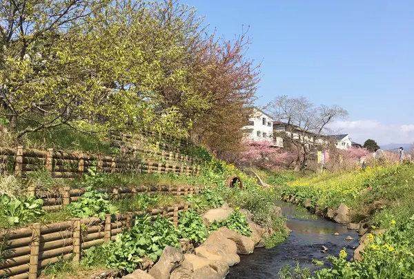 せせらぐ川