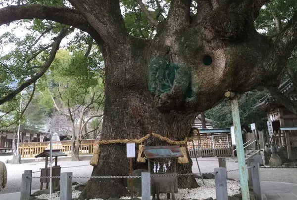 大麻比古神社の写真・動画_image_65463