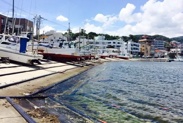 網元料理徳造丸 本店の写真・動画_image_65577