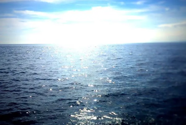 堂ケ島の写真・動画_image_65579
