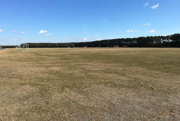 砂防林にサッカーコートが4面！