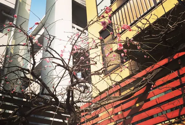 小さな春も
