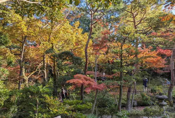 和風庭園