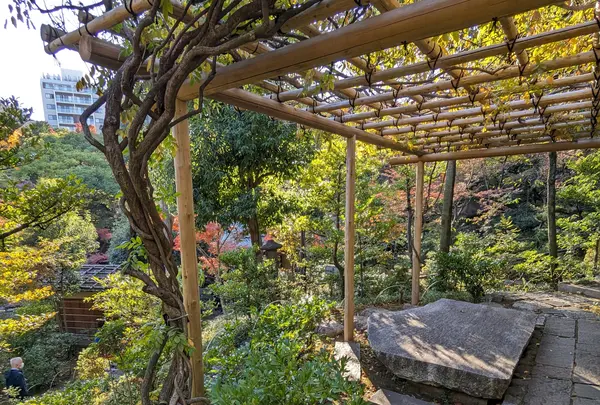 和風庭園