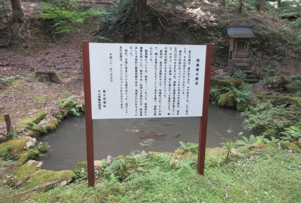 但馬國三之宮 養父神社の写真・動画_image_662367