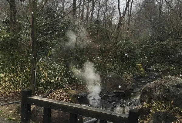 あちこち湯気が‼︎