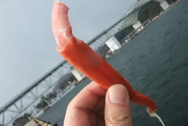 こんな風に・・・