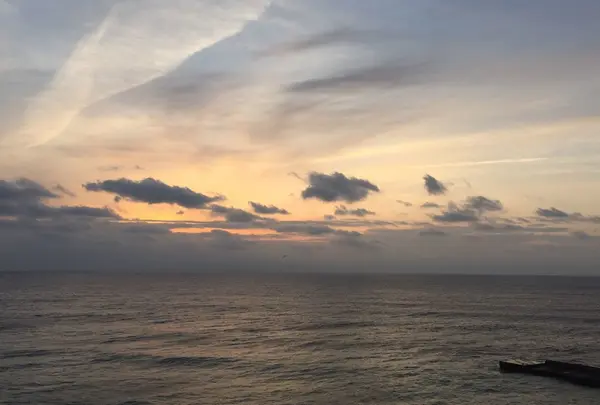 熱川温泉の写真・動画_image_67470