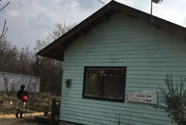 水色が目印