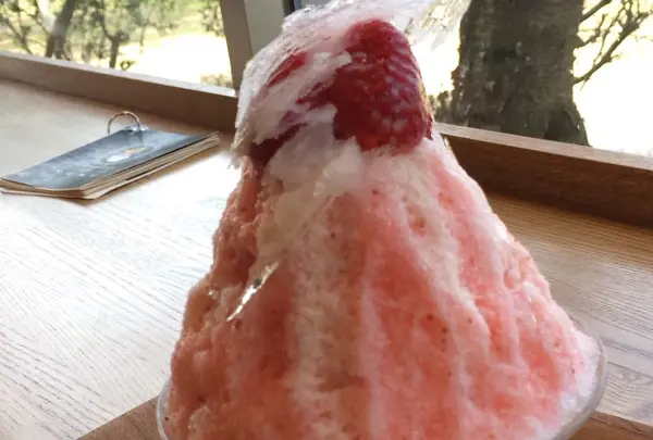 KAKIGORI CAFE ひむろの写真・動画_image_67650