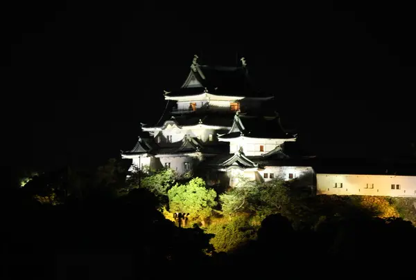 夜のライトアップ