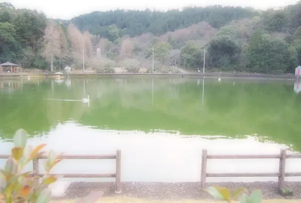 大きな池を囲んだウォーキングコース