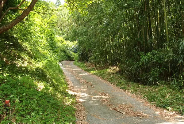 山道