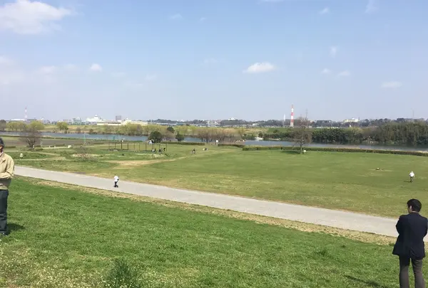 矢切の渡しの写真・動画_image_68196