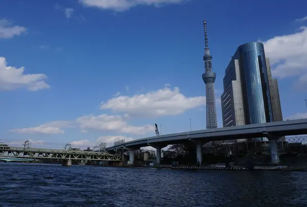 浅草 シーバス