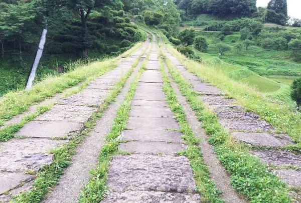 橋の上を歩くことができます🚶🏻