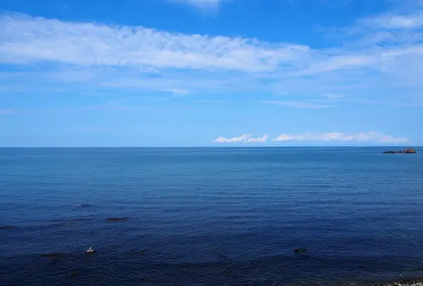 眼前に広がる日本海