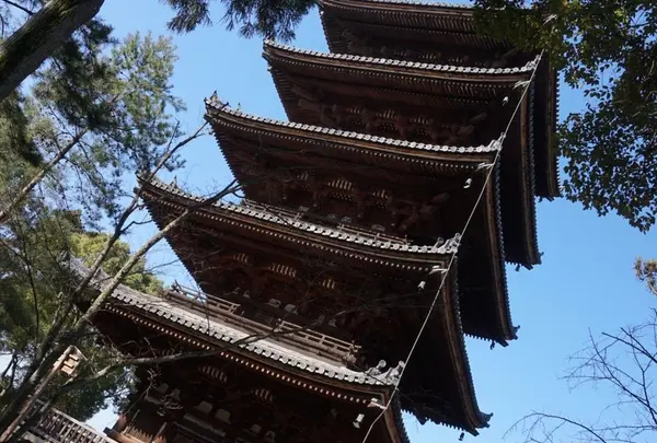 仁和寺の写真・動画_image_68830