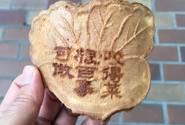 書いてあることばは菜根譚の一句
