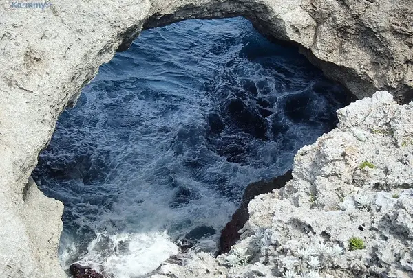 高那崎の写真・動画_image_6936