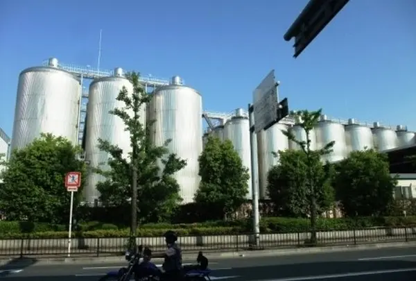 巨大なタングも・・・