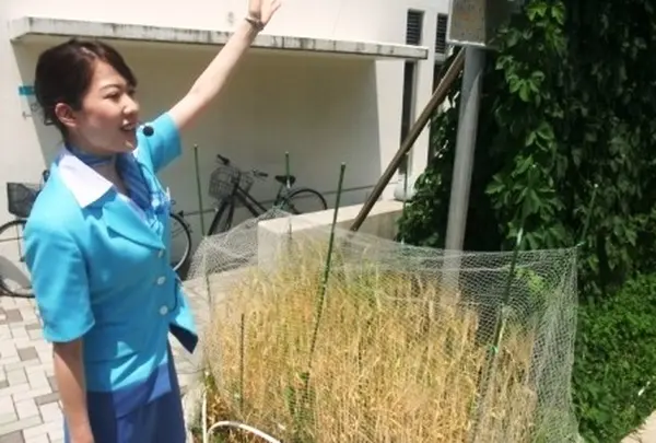 サントリー 京都ブルワリー（天然水のビール工場）の写真・動画_image_6973