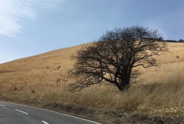 終末感あふれる風景